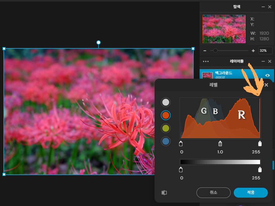 Blown-out red channel in a flower photo