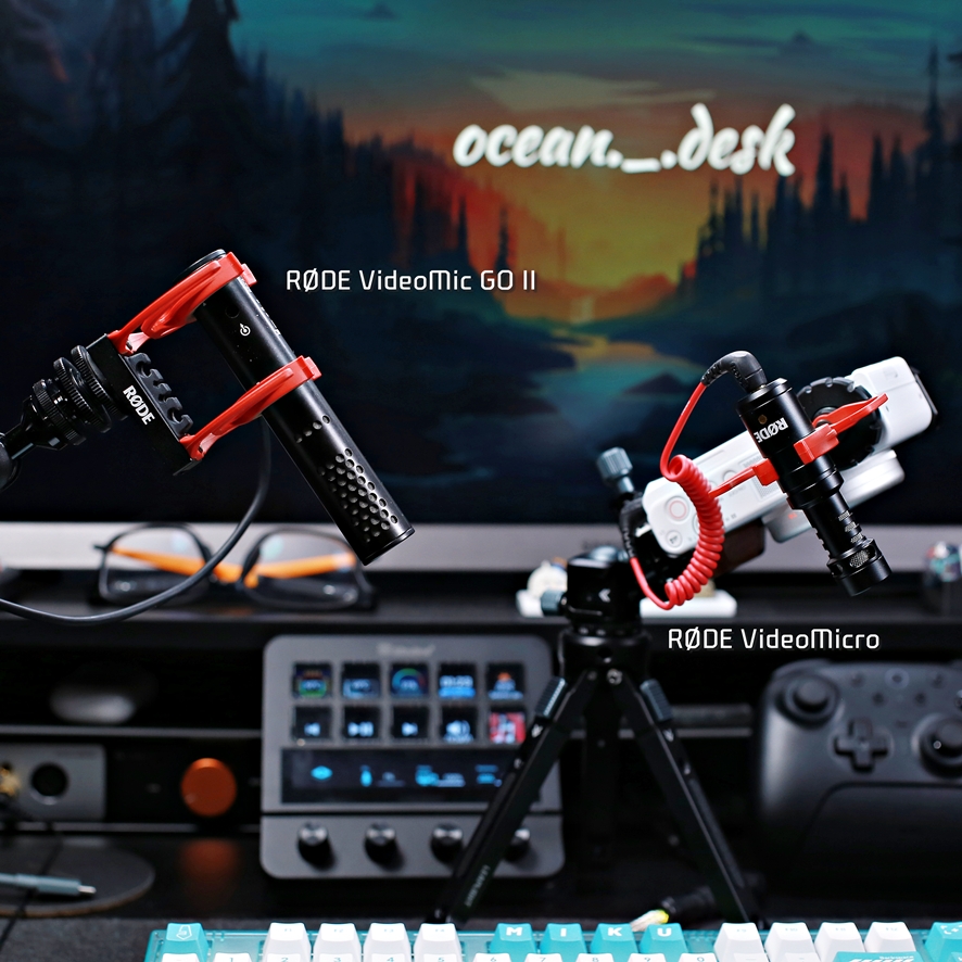 Rode VideoMic GO II on camera setup